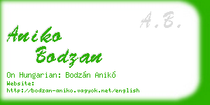 aniko bodzan business card